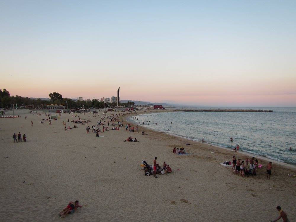 13914152_10155104120618696_5568437444528778116_o