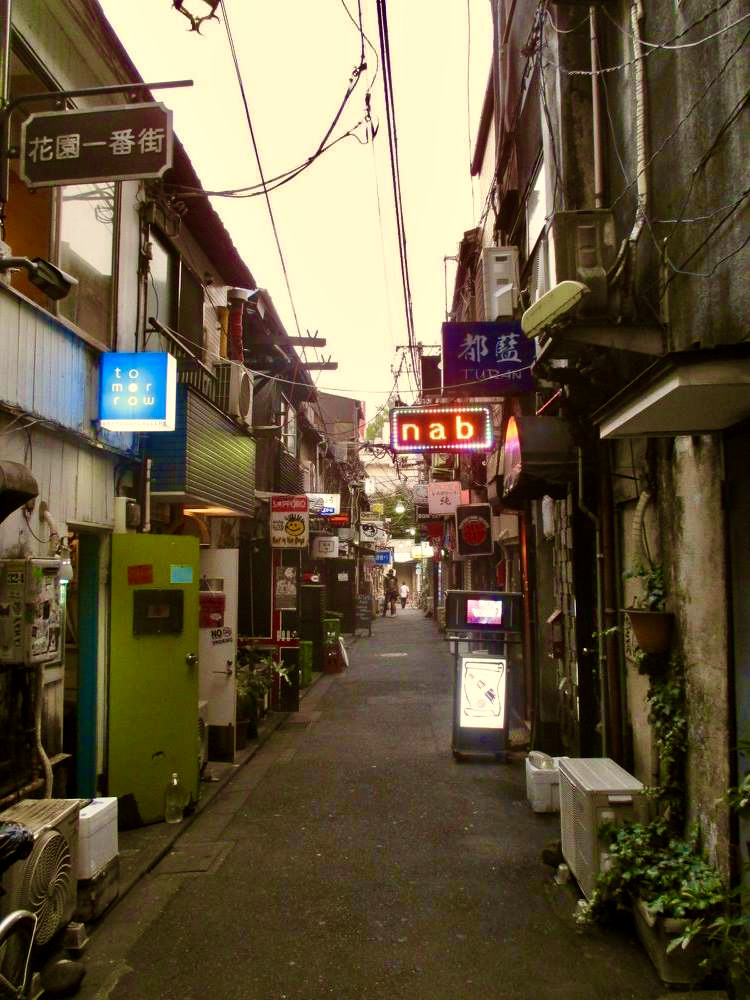 Piss Alley and Shinjuku Bars (思い出横丁)