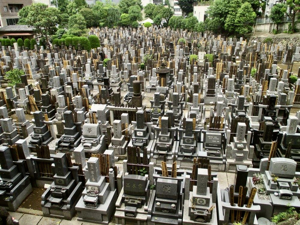 Roppongi or Aoyama Cemetery (青山霊園, Aoyama reien) 