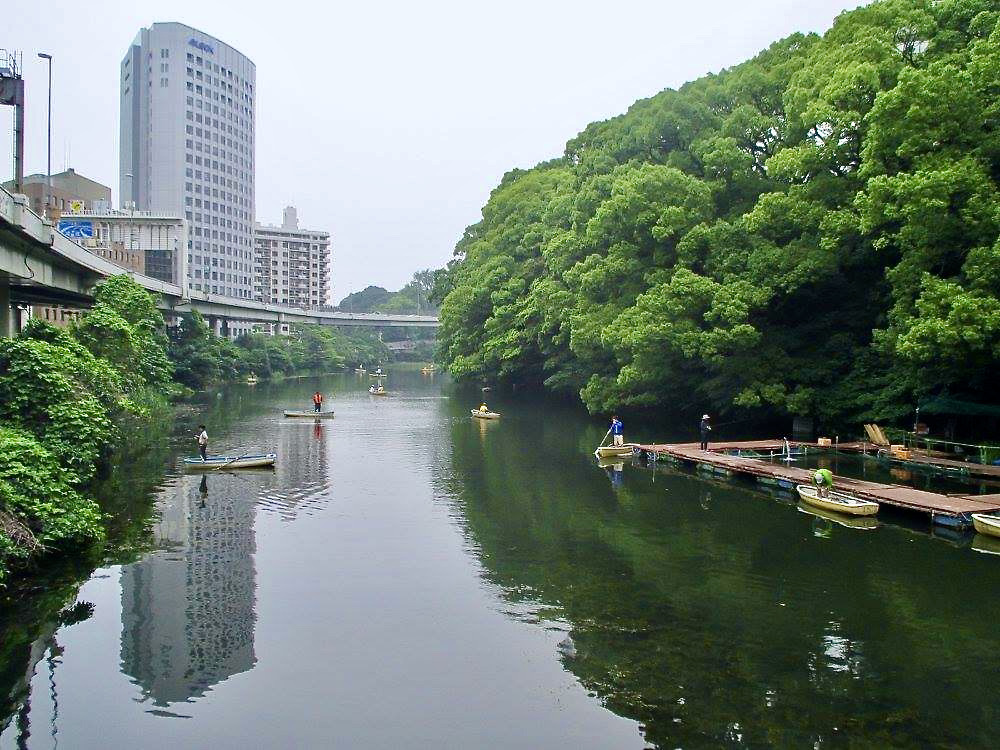 Benkei Fly Fishing Club (東京フライフィッシング＆カントリークラブ)
