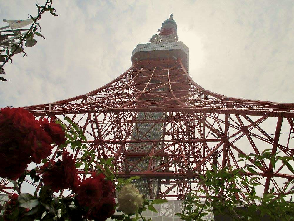 Tokyo Tower (東京タワー)