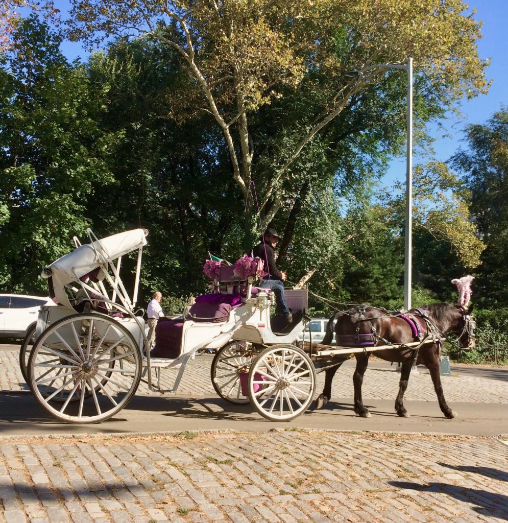 Carriage Ride