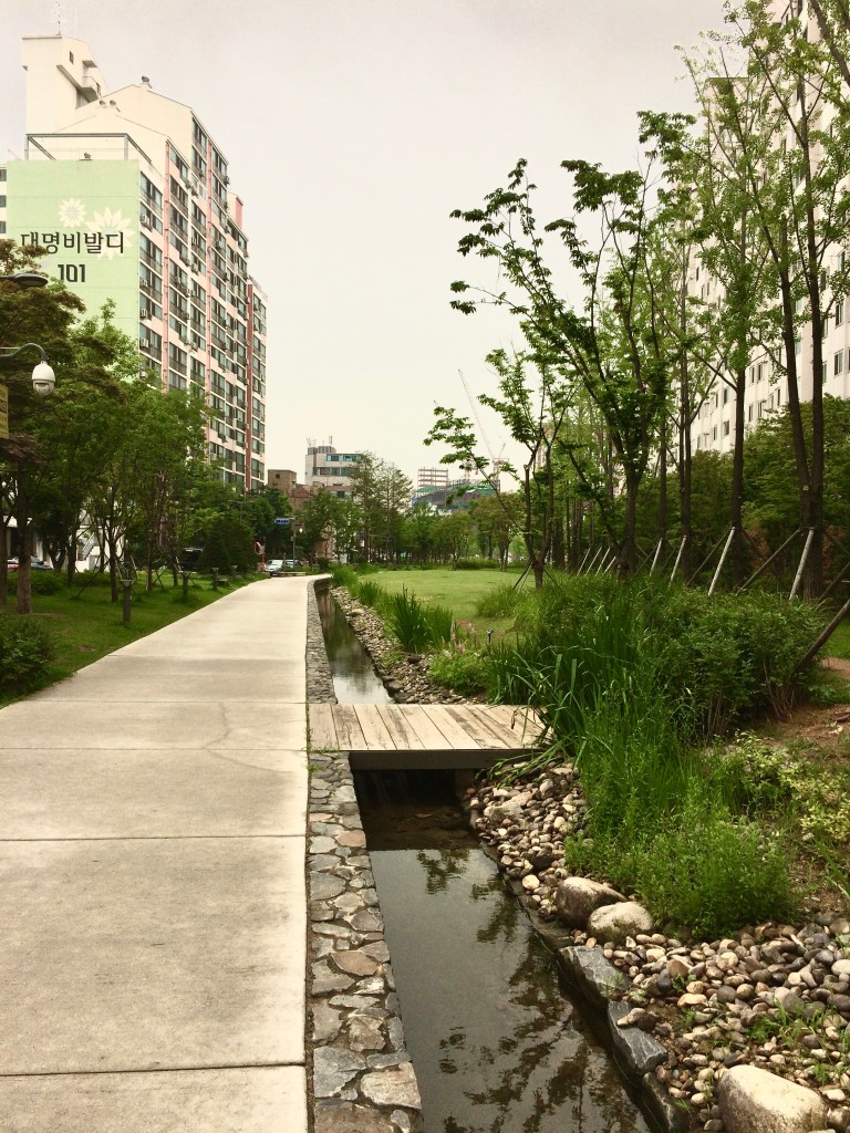 Yeontral Park (연트럴파크)